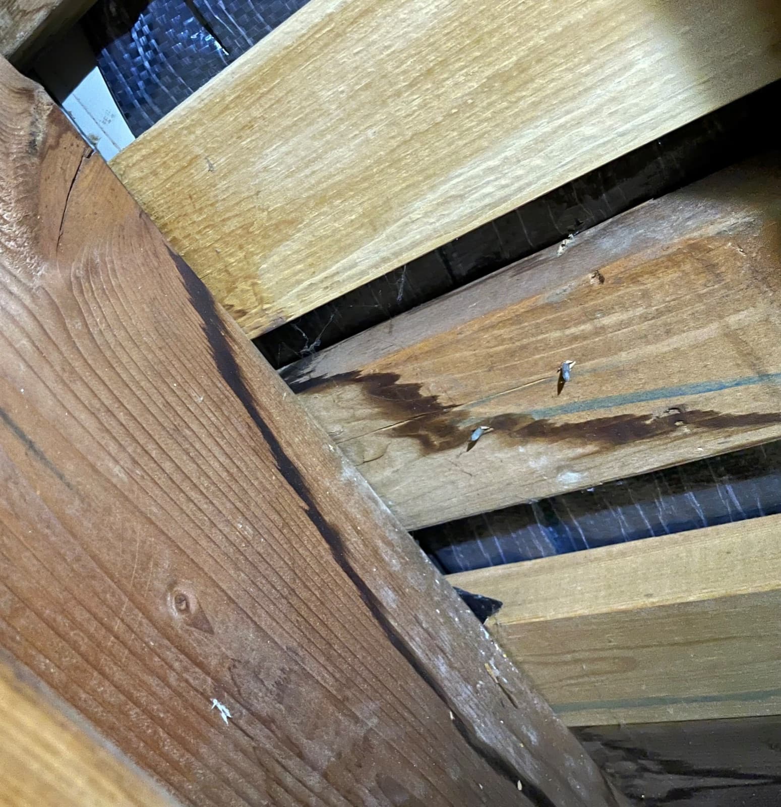 Emergency Leak Investigations — photo 2