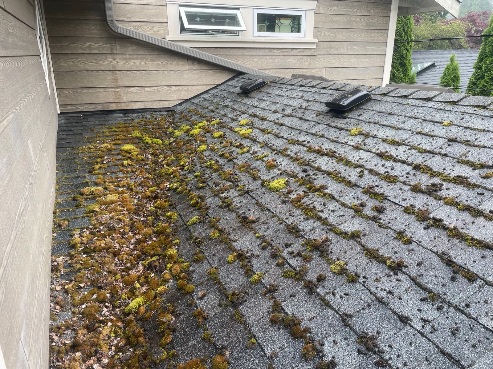 Maintenance — photo 3